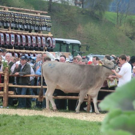 Gastreinhof ميلتينا المظهر الخارجي الصورة
