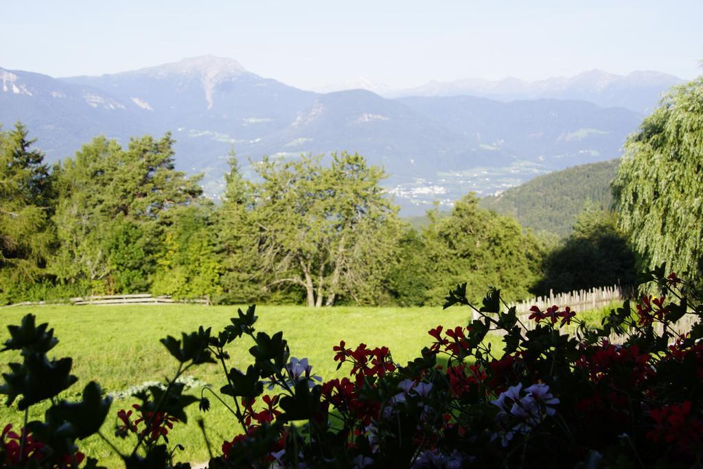 Gastreinhof ميلتينا المظهر الخارجي الصورة