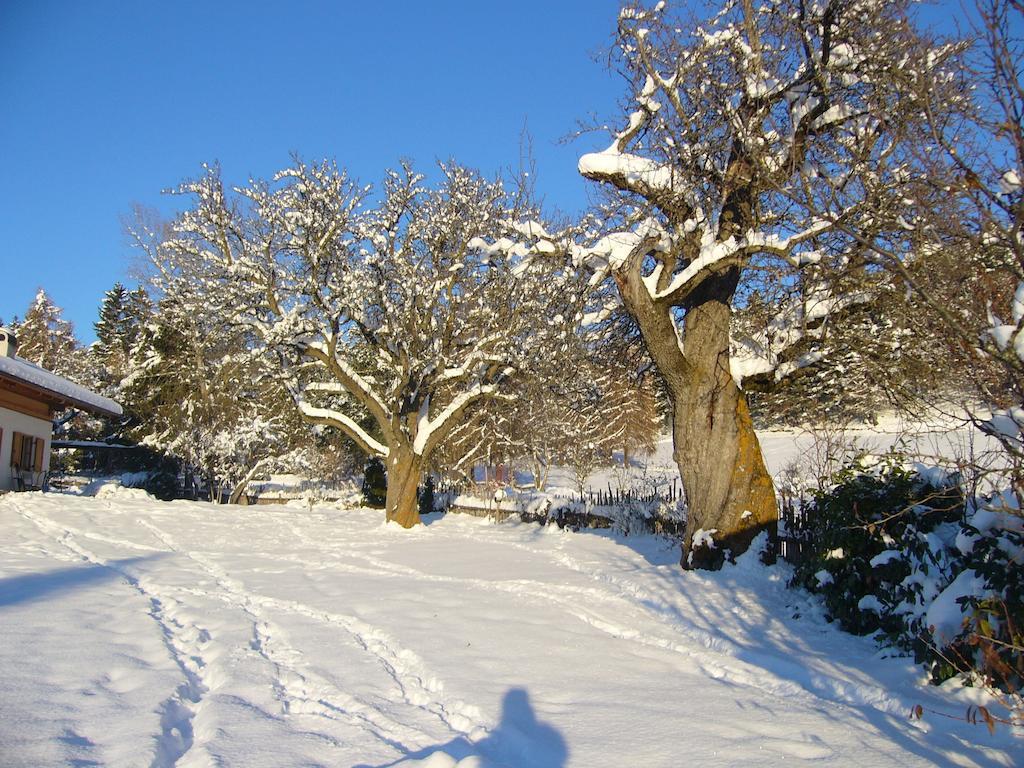 Gastreinhof ميلتينا المظهر الخارجي الصورة